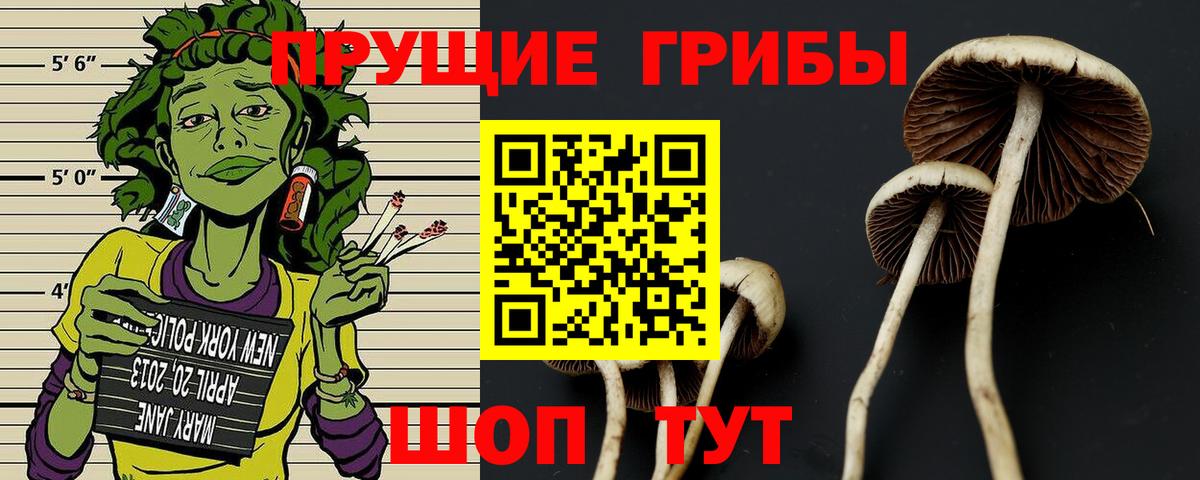 Псилоцибиновые грибы Magic Shrooms Кореновск
