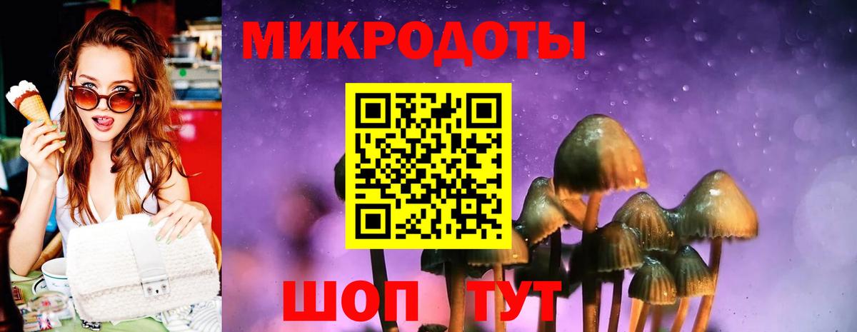 Галлюциногенные грибы мицелий  Псилоцибиновые грибы прущие грибы  цена   Кореновск  Вход с VPN 